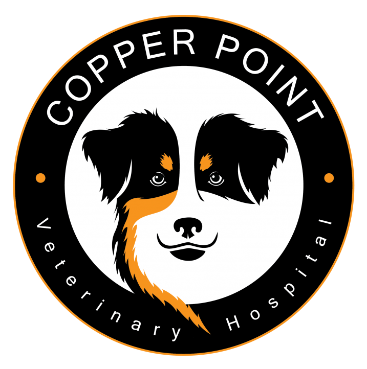 Copper Point Veterinary Hospital